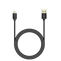 Taar USB A to Type C 3A (Golden ports)