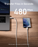 Anker A8856 543 Type C to C 100W Cable