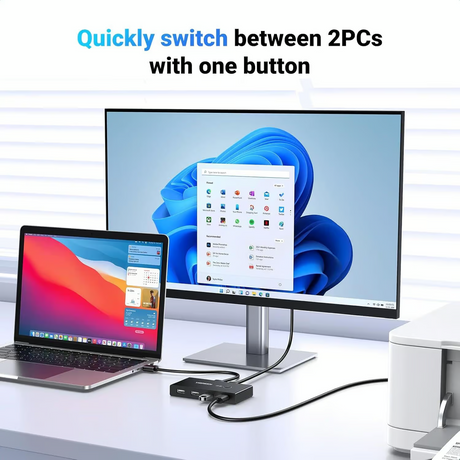 Ugreen 2 In 4 Output Usb 2.0 Sharing Switch Box – 30767