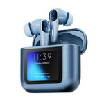 Zero Display Earbuds