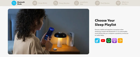 Anker Soundcore Sleep A20 Noise Blocking Earbuds & Upto 80 Hours Playtime