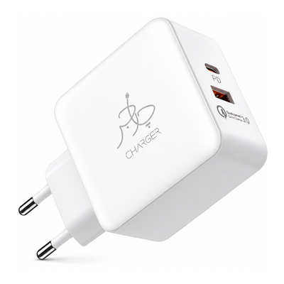 Blaze 25W PD Charger (with C to C cable)