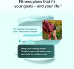 Google Fitbit Air Fitness Band