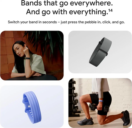 Google Fitbit Air Fitness Band