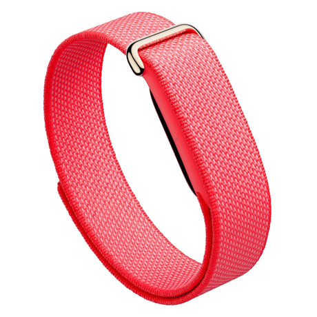Google Fitbit Air Fitness Band