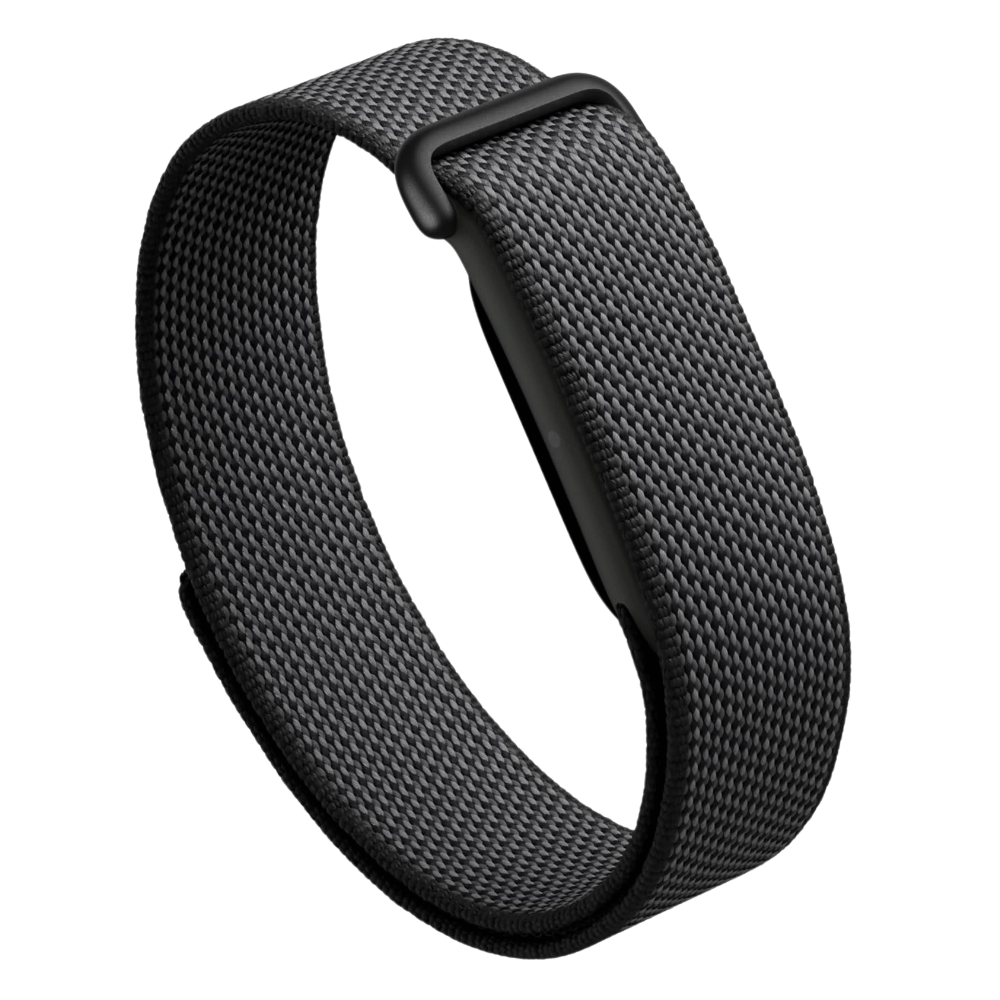 Google Fitbit Air Fitness Band