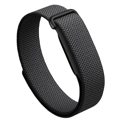 Google Fitbit Air Fitness Band