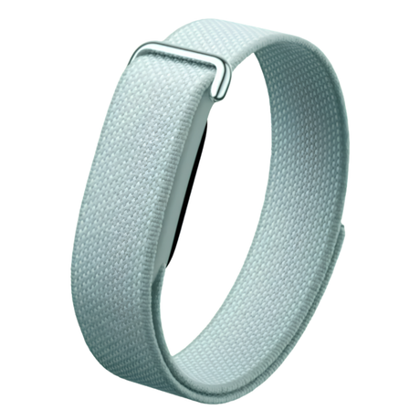 Google Fitbit Air Fitness Band